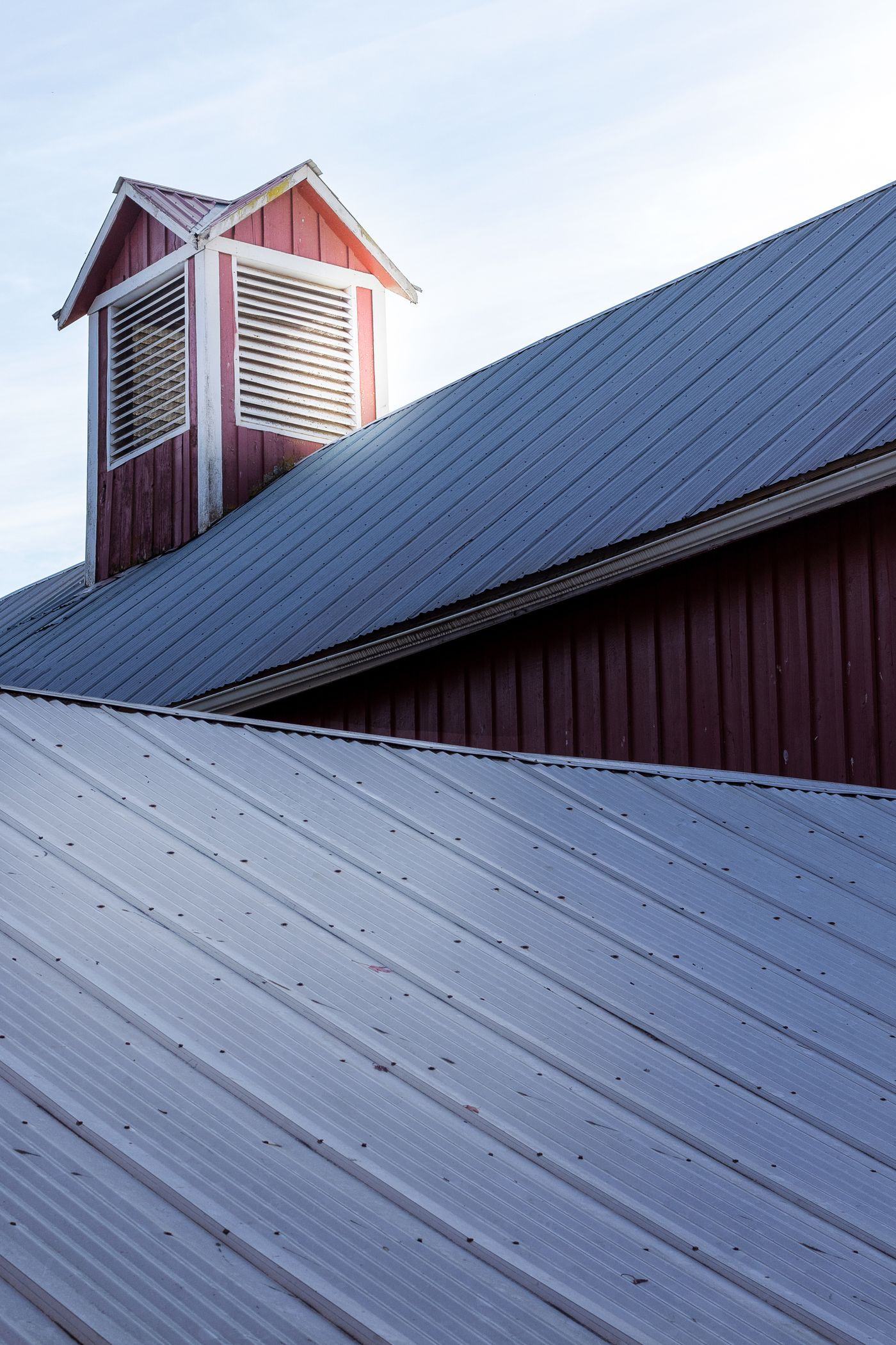 Standing-seam metal roof close-up on a Tampa Bay home